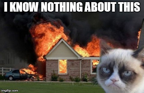 Burn Kitty Meme | I KNOW NOTHING ABOUT THIS | image tagged in memes,burn kitty | made w/ Imgflip meme maker