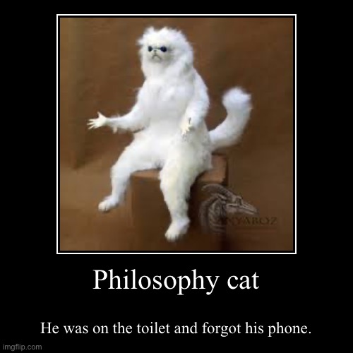 Philosophy cat | He was on the toilet and forgot his phone. | image tagged in funny,demotivationals | made w/ Imgflip demotivational maker
