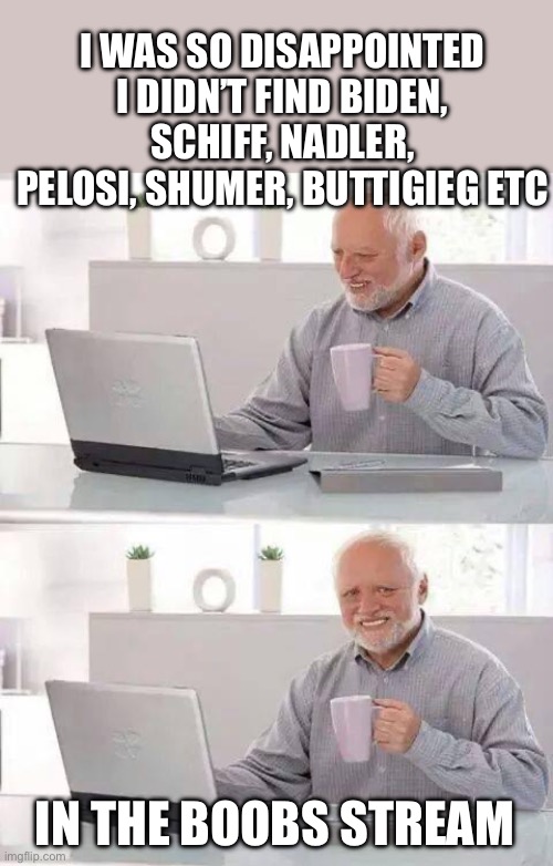 False advertising | I WAS SO DISAPPOINTED I DIDN’T FIND BIDEN, SCHIFF, NADLER, PELOSI, SHUMER, BUTTIGIEG ETC; IN THE BOOBS STREAM | image tagged in memes,hide the pain harold,boobs | made w/ Imgflip meme maker