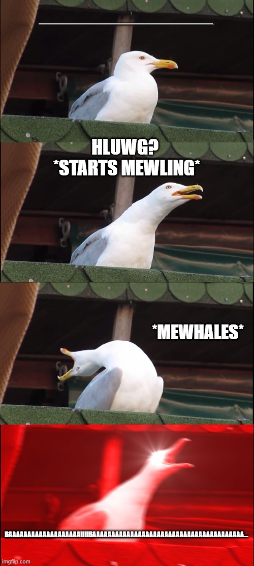 mewling eagle? | MMMMMMMMMMMMMMMMMMMMMMMMMMMMMMMMMMMMMMMMMMMMMMMMMMMMMMMMMMMMMMMMMMMMMMMMMMMMMMMMMMMMMMMMMMMMMMMMMMMMMMMMMMMMMMMMMMMMMMMMMMMMMMMMMMMMMMMMMMMMMMMMMMMMMMMMMMMMMMMMMMMMMMMMMMMMMMMMMMMMMMMMMMMMMMMMMMMMMMMMMMMMMMMMMMMMMMMMMMMMMMMMMMMMMMMMMMMMMMM... HLUWG? 
*STARTS MEWLING*; *MEWHALES*; BAAAAAAAAAAAAAAAAAAAIIIIBAAAAAAAAAAAAAAAAAAAAAAAAAAAAAAAAAAAAAAAA... | image tagged in memes,inhaling seagull | made w/ Imgflip meme maker