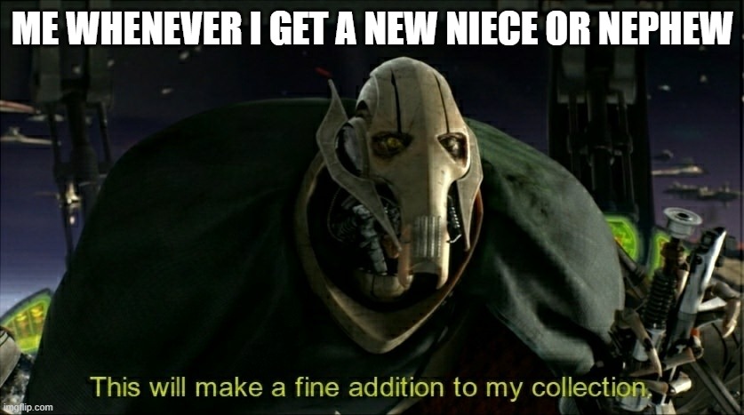 when you get a new niece or nephew | ME WHENEVER I GET A NEW NIECE OR NEPHEW | image tagged in this will make a fine addition to my collection | made w/ Imgflip meme maker