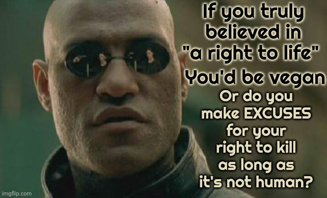 "Burgers", "Bacon" And "Nuggets" Are Out Right Murder But You Still EAT Them.  At Least Wake Up To Your Own Hypocrisy | If you truly believed in "a right to life"; Or do you make EXCUSES for your right to kill as long as it's not human? You'd be vegan | image tagged in memes,matrix morpheus,conservative hypocrisy,liberal hypocrisy,hypocrites,unbelievable | made w/ Imgflip meme maker