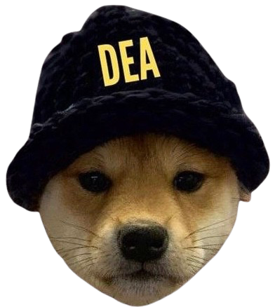 Dog enforcement agency Blank Meme Template