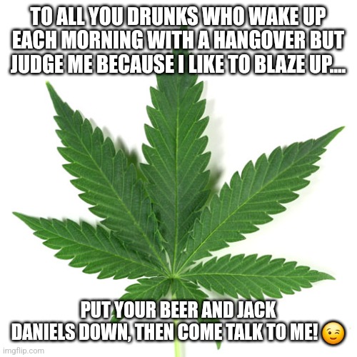 Marijuana leaf | TO ALL YOU DRUNKS WHO WAKE UP EACH MORNING WITH A HANGOVER BUT JUDGE ME BECAUSE I LIKE TO BLAZE UP.... PUT YOUR BEER AND JACK DANIELS DOWN, THEN COME TALK TO ME! 😉 | image tagged in marijuana leaf | made w/ Imgflip meme maker