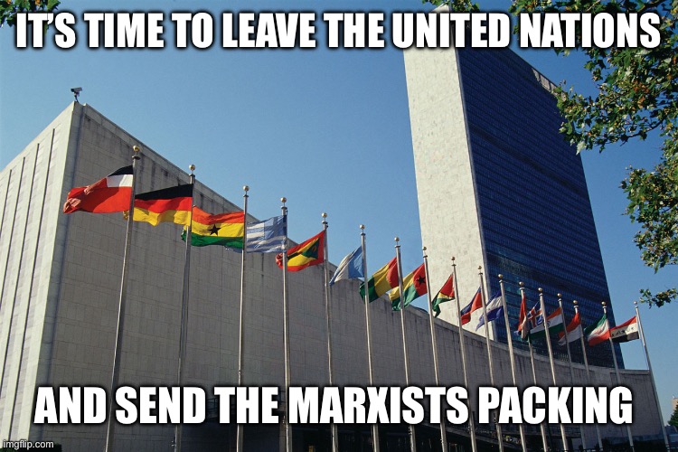 United Nations Flags | IT’S TIME TO LEAVE THE UNITED NATIONS AND SEND THE MARXISTS PACKING | image tagged in united nations flags | made w/ Imgflip meme maker