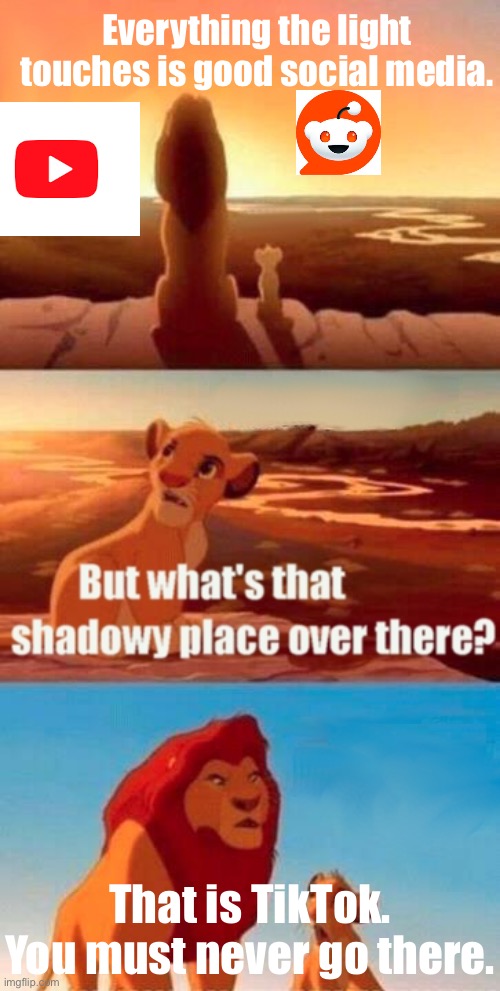 Social media | Everything the light touches is good social media. That is TikTok. You must never go there. | image tagged in memes,simba shadowy place | made w/ Imgflip meme maker