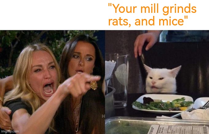 Your mill grinds rats, and mice | "Your mill grinds rats, and mice" | image tagged in memes,woman yelling at cat | made w/ Imgflip meme maker