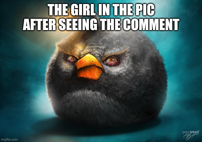 Realistic Bomb Angry Bird | THE GIRL IN THE PIC AFTER SEEING THE COMMENT | image tagged in realistic bomb angry bird | made w/ Imgflip meme maker