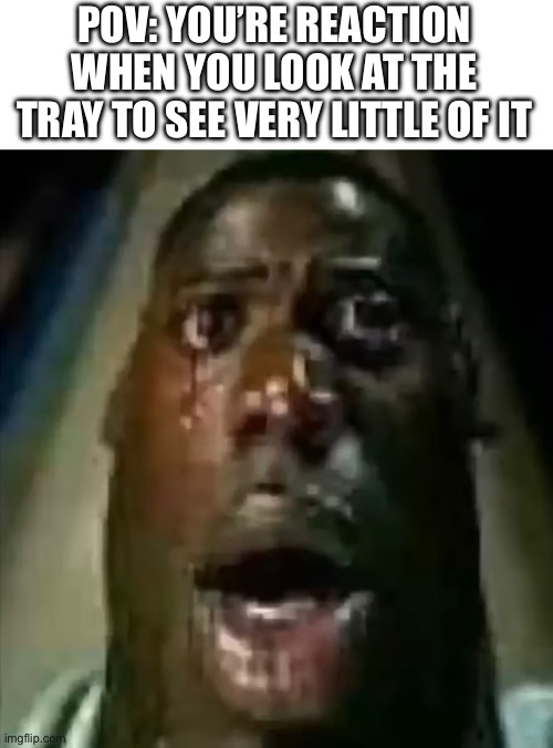 POV: YOU’RE REACTION WHEN YOU LOOK AT THE TRAY TO SEE VERY LITTLE OF IT | made w/ Imgflip meme maker