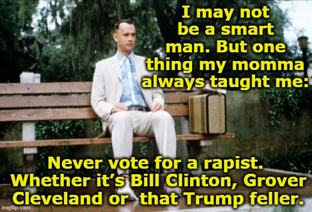 Trump, Gump & E. Jeanne Carroll | I may not be a smart man. But one thing my momma always taught me:; Never vote for a rapist.  Whether it’s Bill Clinton, Grover Cleveland or  that Trump feller. | image tagged in forrest gump,me too,maga,donald trump approves,presidential race,nevertrump meme | made w/ Imgflip meme maker