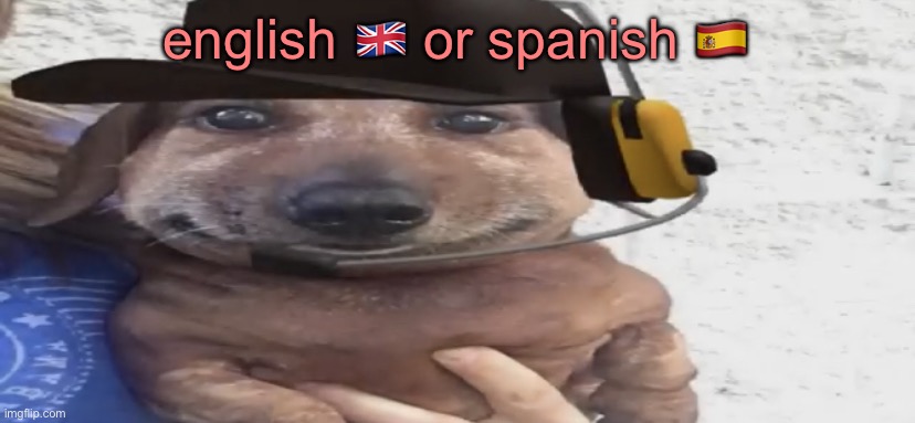 chucklenuts | english 🇬🇧 or spanish 🇪🇸 | image tagged in chucklenuts | made w/ Imgflip meme maker
