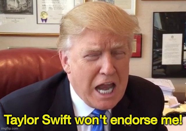 trump crying | Taylor Swift won't endorse me! | image tagged in trump crying | made w/ Imgflip meme maker