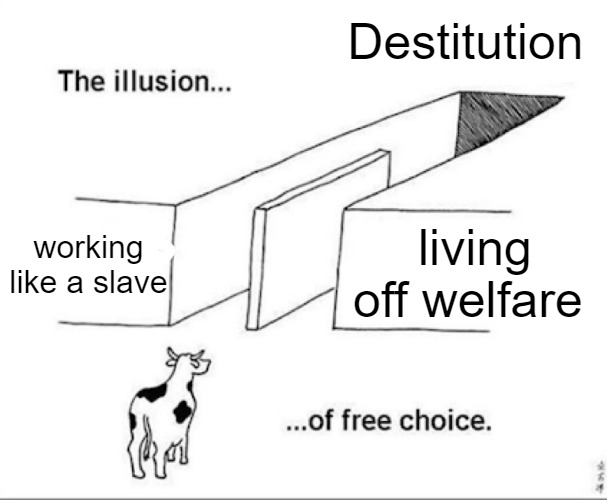 Illusion of free choice | Destitution; working like a slave; living off welfare | image tagged in illusion of free choice,slavic,money | made w/ Imgflip meme maker