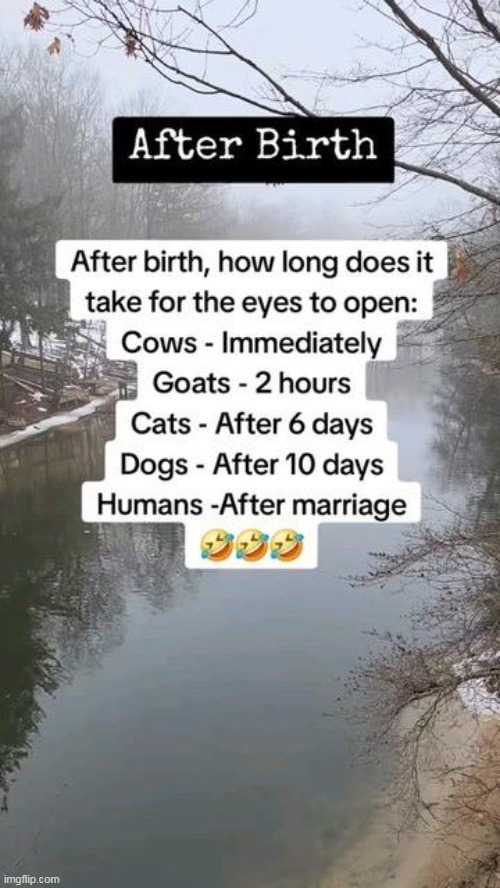 :) | image tagged in marriage,lol,humans,men and women,eyes,open | made w/ Imgflip meme maker