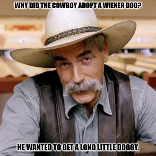 Daily Bad Dad Joke June 17, 2024 | WHY DID THE COWBOY ADOPT A WIENER DOG? HE WANTED TO GET A LONG LITTLE DOGGY. | image tagged in sarcasm cowboy | made w/ Imgflip meme maker