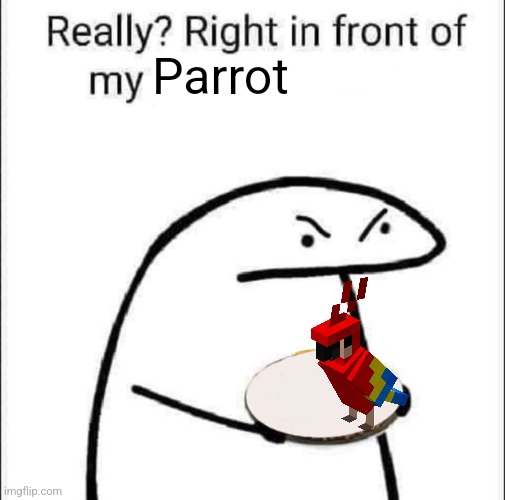 Really? Right in front of my pancit? | Parrot | image tagged in really right in front of my pancit,parrot | made w/ Imgflip meme maker