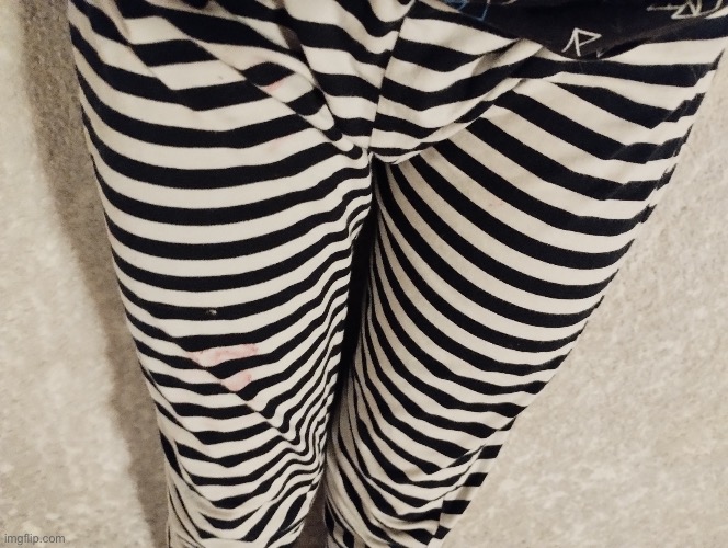 Ayden's thighs | image tagged in ayden's thighs | made w/ Imgflip meme maker