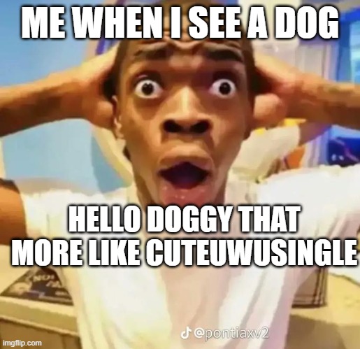 Shocked black guy | ME WHEN I SEE A DOG; HELLO DOGGY THAT MORE LIKE CUTEUWUSINGLE | image tagged in shocked black guy,seeing a dog | made w/ Imgflip meme maker