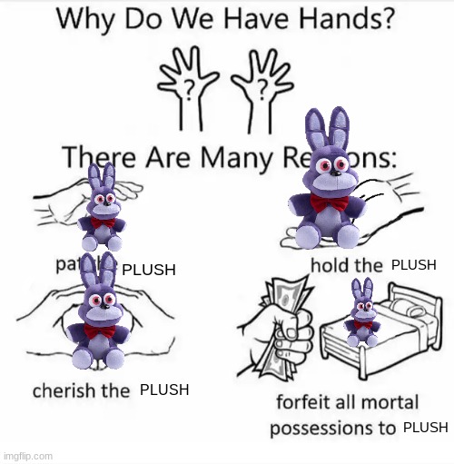 Why do we have hands? (all blank) | PLUSH; PLUSH; PLUSH; PLUSH | image tagged in why do we have hands all blank | made w/ Imgflip meme maker