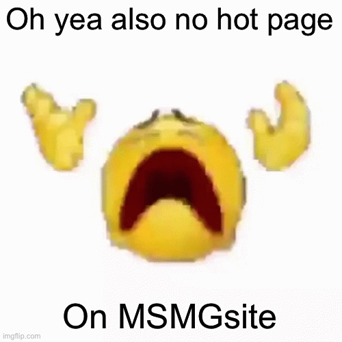 :nooo: | Oh yea also no hot page; On MSMGsite | image tagged in nooo | made w/ Imgflip meme maker