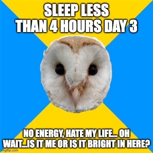 bipolar owl | SLEEP LESS THAN 4 HOURS DAY 3; NO ENERGY, HATE MY LIFE... OH WAIT...IS IT ME OR IS IT BRIGHT IN HERE? | image tagged in bipolar owl | made w/ Imgflip meme maker