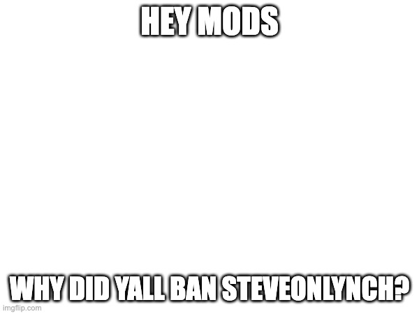 HEY MODS; WHY DID YALL BAN STEVEONLYNCH? | made w/ Imgflip meme maker