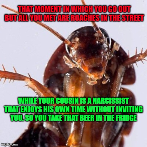 Roach | THAT MOMENT IN WHICH YOU GO OUT BUT ALL YOU MET ARE ROACHES IN THE STREET; WHILE YOUR COUSIN IS A NARCISSIST THAT ENJOYS HIS OWN TIME WITHOUT INVITING YOU. SO YOU TAKE THAT BEER IN THE FRIDGE | image tagged in roach | made w/ Imgflip meme maker