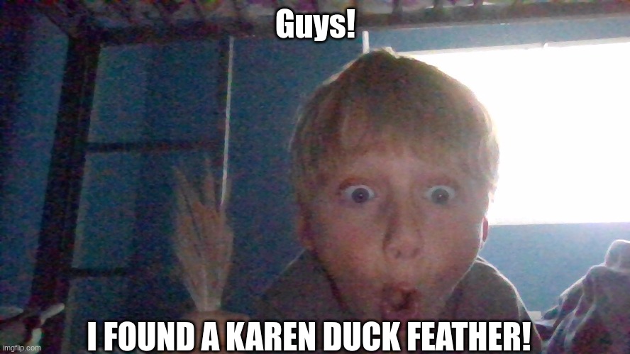 KAREN DUCK FEATHER! | Guys! I FOUND A KAREN DUCK FEATHER! | image tagged in karen | made w/ Imgflip meme maker