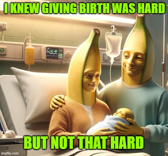 I KNEW GIVING BIRTH WAS HARD; BUT NOT THAT HARD | made w/ Imgflip meme maker
