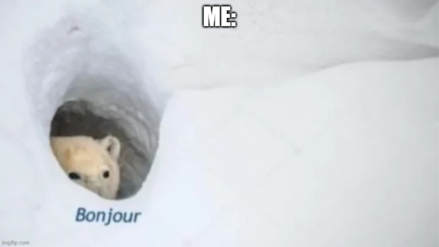Bonjur | ME: | image tagged in bonjur | made w/ Imgflip meme maker