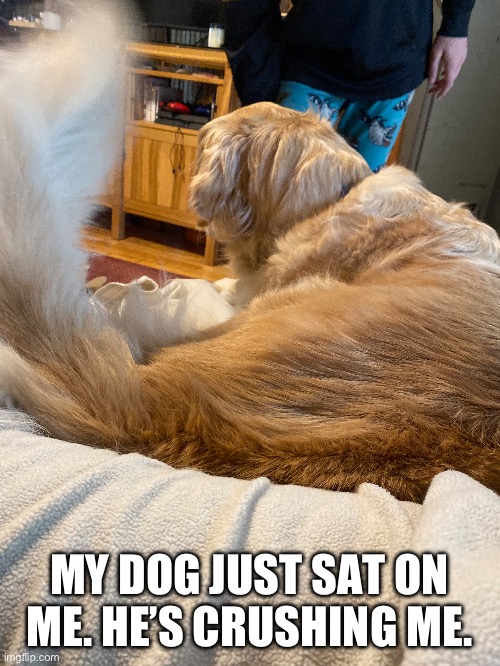 MY DOG JUST SAT ON ME. HE’S CRUSHING ME. | made w/ Imgflip meme maker