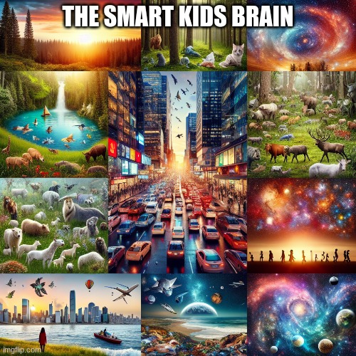 Smart kids brain be like | THE SMART KIDS BRAIN | image tagged in i am smort | made w/ Imgflip meme maker