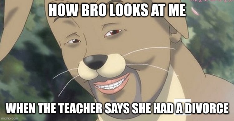 Weird anime hentai furry | HOW BRO LOOKS AT ME; WHEN THE TEACHER SAYS SHE HAD A DIVORCE | image tagged in weird anime hentai furry | made w/ Imgflip meme maker