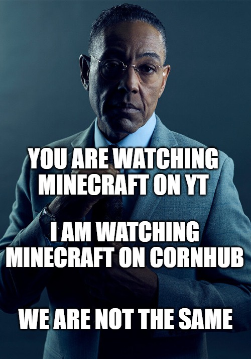 The best way to watch minecraft. | YOU ARE WATCHING MINECRAFT ON YT; I AM WATCHING MINECRAFT ON CORNHUB; WE ARE NOT THE SAME | image tagged in gus fring we are not the same,minecraft | made w/ Imgflip meme maker