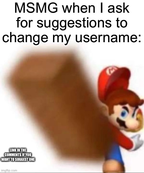 COMMENCE MASS STONING | MSMG when I ask for suggestions to change my username:; LINK IN THE COMMENTS IF YOU WANT TO SUGGEST ONE | made w/ Imgflip meme maker