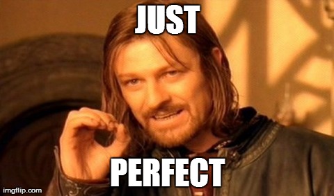 One Does Not Simply Meme | JUST PERFECT | image tagged in memes,one does not simply | made w/ Imgflip meme maker