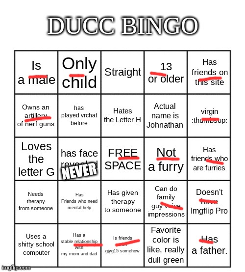 I will not face reveal. Never. Ask me why. | NEVER | image tagged in ducc bingo | made w/ Imgflip meme maker