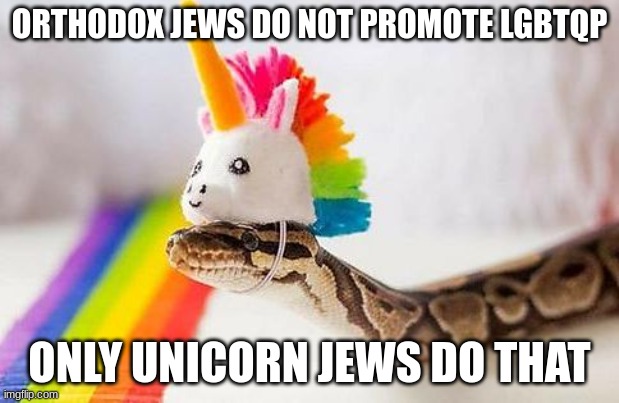 Snake with Unicorn Hat | ORTHODOX JEWS DO NOT PROMOTE LGBTQP; ONLY UNICORN JEWS DO THAT | image tagged in snake with unicorn hat | made w/ Imgflip meme maker