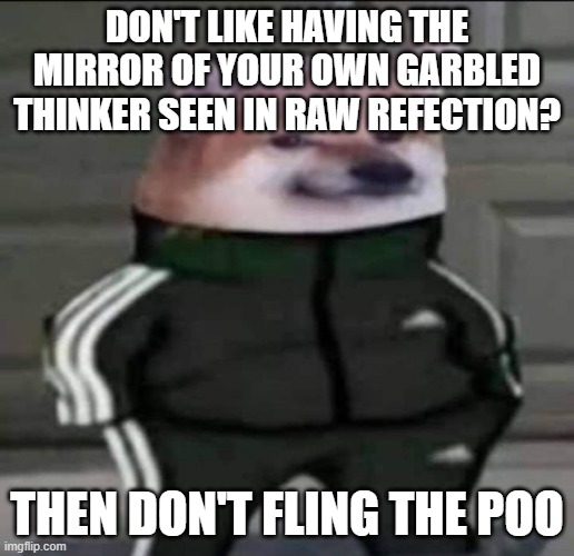 Is it a bird, is it a plane? No, silly - it's the painful consequences of voluntary stupidity | DON'T LIKE HAVING THE MIRROR OF YOUR OWN GARBLED THINKER SEEN IN RAW REFECTION? THEN DON'T FLING THE POO | image tagged in slav doge | made w/ Imgflip meme maker