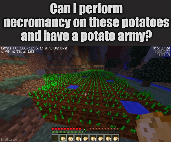 i want a potato army | Can I perform necromancy on these potatoes and have a potato army? | image tagged in minecraft,idk,necromancy,potatoes | made w/ Imgflip meme maker