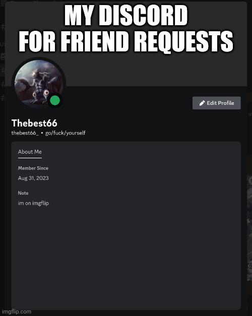 MY DISCORD FOR FRIEND REQUESTS | made w/ Imgflip meme maker
