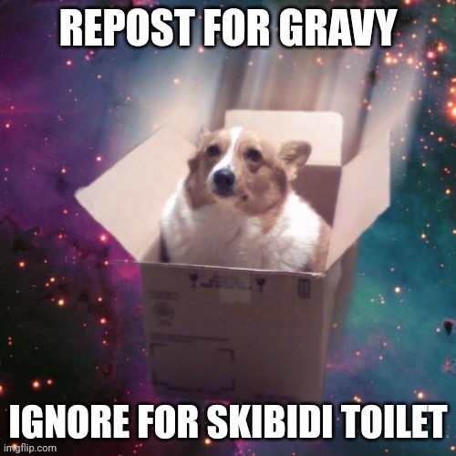 gravy is the dog | image tagged in repost for gravy | made w/ Imgflip meme maker