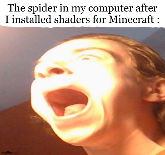 computer frying noises go brrrrrrr | The spider in my computer after I installed shaders for Minecraft : | image tagged in flash screeam,spider,computer,frying pan,graphics,minecraft | made w/ Imgflip meme maker