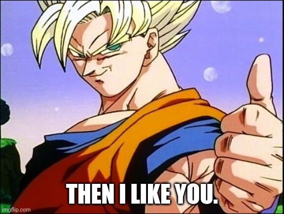 Goku approves | THEN I LIKE YOU. | image tagged in goku approves | made w/ Imgflip meme maker