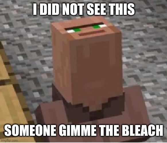 Minecraft Villager Looking Up | I DID NOT SEE THIS SOMEONE GIMME THE BLEACH | image tagged in minecraft villager looking up | made w/ Imgflip meme maker