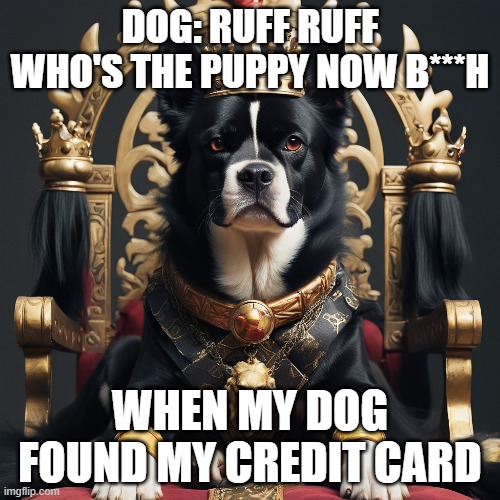 FOLLOW ME AND UPVOTE | DOG: RUFF RUFF WHO'S THE PUPPY NOW B***H; WHEN MY DOG FOUND MY CREDIT CARD | image tagged in follow,dog,memes,funny,money | made w/ Imgflip meme maker