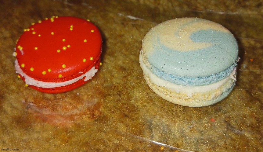 Ozzy, we are macarons! | made w/ Imgflip meme maker