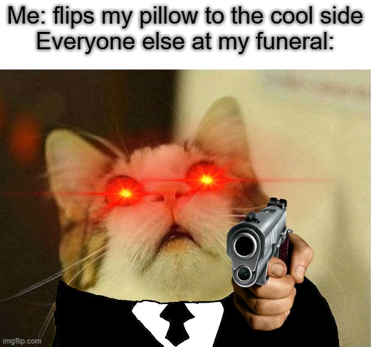 We didn't just pay $50,000 for this damn funeral just for you to wake up!!! | Me: flips my pillow to the cool side
Everyone else at my funeral: | image tagged in memes,scared cat,funeral,hold up,death,dead | made w/ Imgflip meme maker