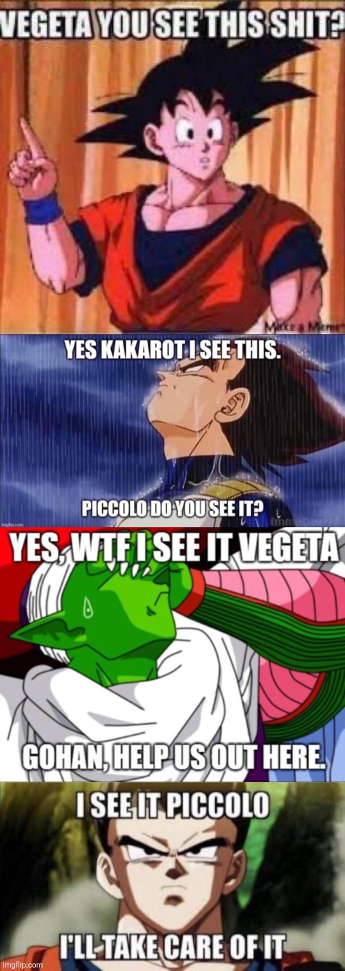 image tagged in vegeta you see this shit,yes kakarot i see this piccolo do you see it,piccolo wtf i see it vegeta take care of it gohan | made w/ Imgflip meme maker