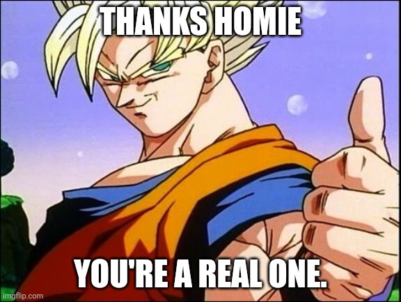 Goku approves | THANKS HOMIE YOU'RE A REAL ONE. | image tagged in goku approves | made w/ Imgflip meme maker